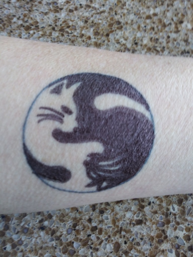 Cat yin yang
